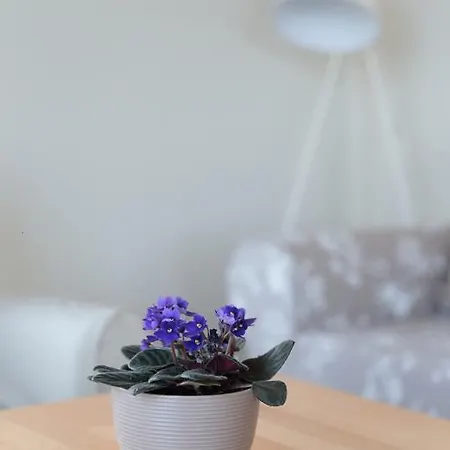 Apartamento Kabakum