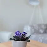 Apartman Kabakum